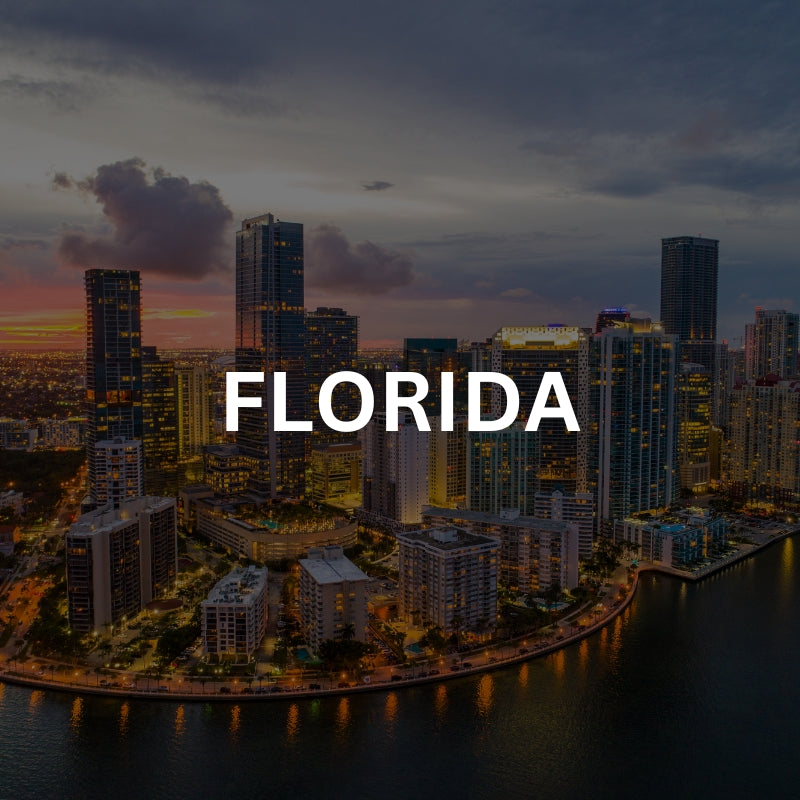 Scenic view of Florida skyline