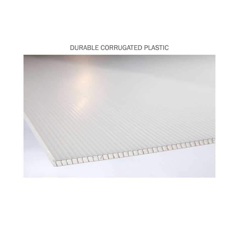 Custom Big Promo Check 20