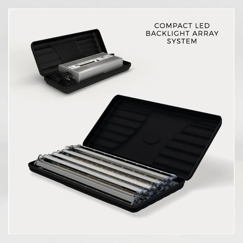 8ft Casonara SEG Backlit